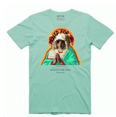 Prayed For This Tee (Mint/Multi) /D2